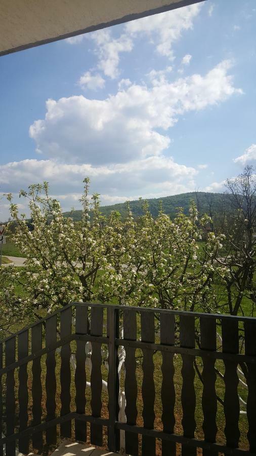 Apartment Silvia Slunj Exterior foto